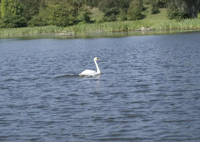 Agroturismo Bajanówka